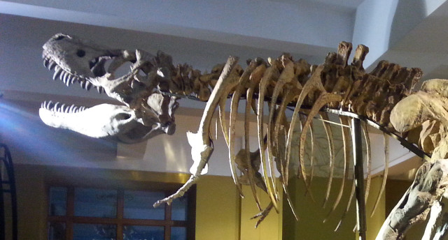 Kazakh citizens to be able to see ichthyosaur in 2025