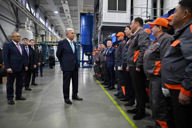 Мемлекет басшысы Жетісу облысындағы бірқатар әлеуметтік нысандармен танысты