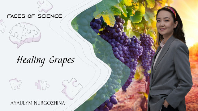 Ayaulym Nurgozhina. Healing Grapes