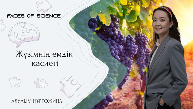 Аяулым Нұрғожина. Жүзімнің емдік қасиеті