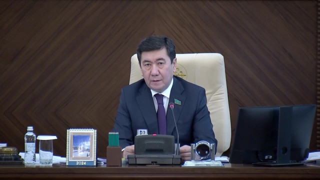 Мажилис 2024-жылдагы жумушун жыйынтыктады