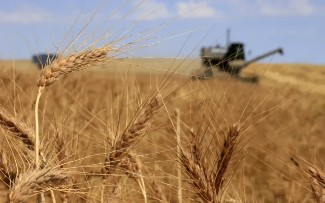 Kazakistan yeni hasat tahıl ihracatını yüzde 54’e arttırdı