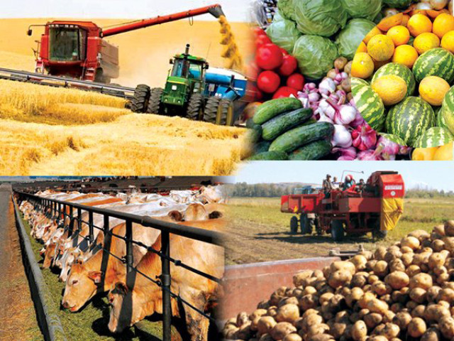 78 казакстандык компания Кытайга өнүм жеткире алат