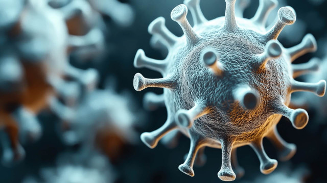 Dünya Sağlık Teşkilatı metapnömovirüsün pandemi tehlikesinin olmadığını bildiriyor