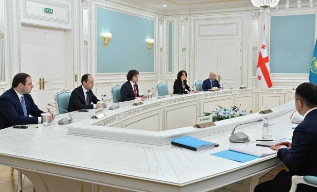 Kazakh President holds talks with Georgian Prime Minister