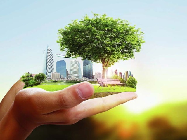 Казакстанда 2025-жылы бир катар жаңы экологиялык долбоор ишке ашырылат