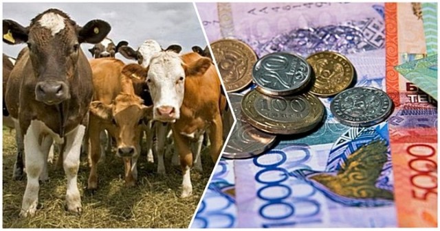 Kazakhstan to simplify lending and subsidy procedures for farmers