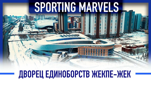 Дворец единоборств: многофункциональный спортивный комплекс