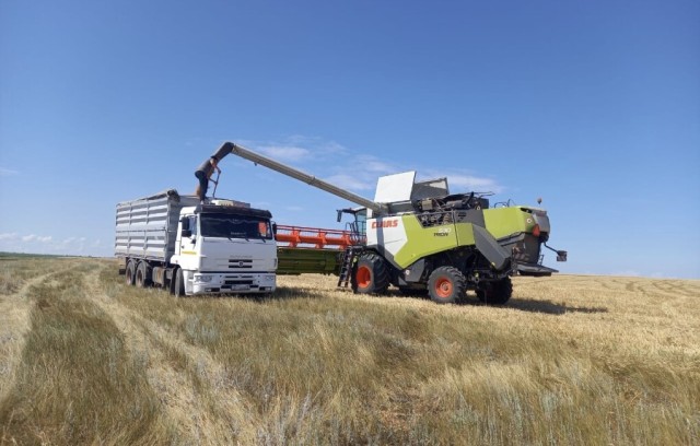 Аграрийлерди колдоо үчүн өкмөт резервинен 116 млрд теңгеден ашык каржы бөлүндү