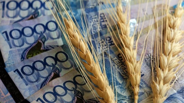 Kazakistan’da bahar ekim çalışmalarına 171 milyar tenge tutarında imtiyazlı kredi sağlandı