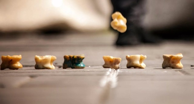 Қазақстанда роботтар асық ойынын меңгеруде