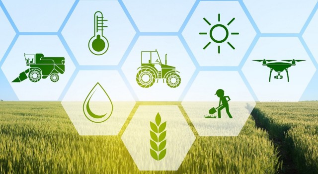 Қазақстан 66 мемлекетке агроөнеркәсіптік кешен өнімдерін экспорттайды