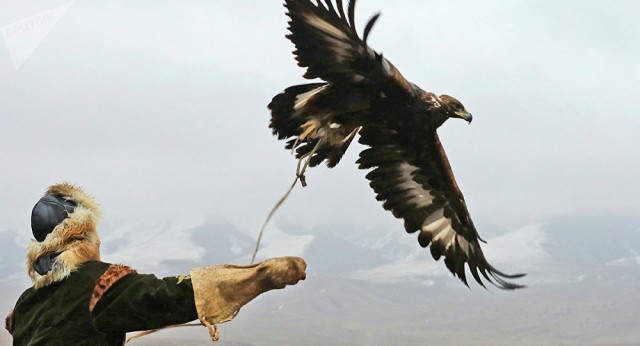 Қозоғистон – қушчилар юрти