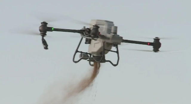 Aral bölgesinde yeşillendirme çalışmaları sürüyor