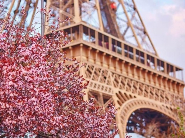 В Казахстане стартовал новый сезон «Франкофонной весны»