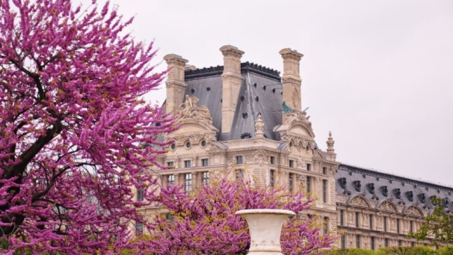 Қазақстанда дәстүрлі «Франкофония көктемі» фестивалі басталды