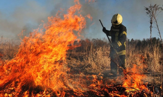 Kazakhstan to strengthen preparations for fire season