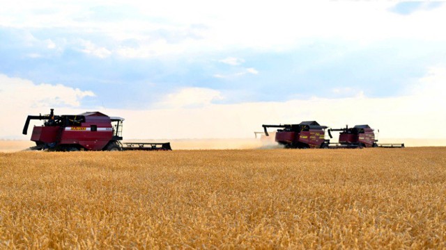 Kazakhstan allocates 40 billion tenge to support grain exporters