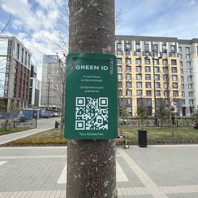 Trees in Astana to be digitized and assigned QR codes