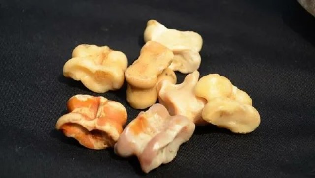 Чүкө чогулткан актөбелик коллекционер Казакстан рекорддор китебине кирди