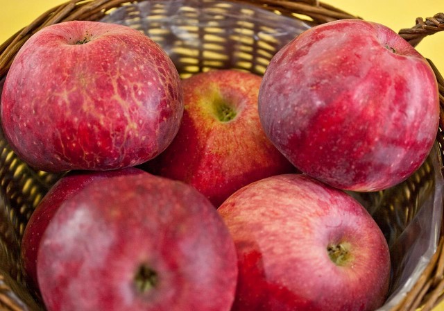 В Казахстане возрождают легендарный апорт