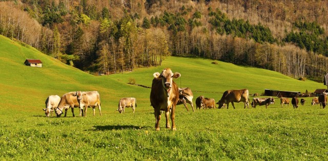 Agritourism gains popularity in Kazakhstan