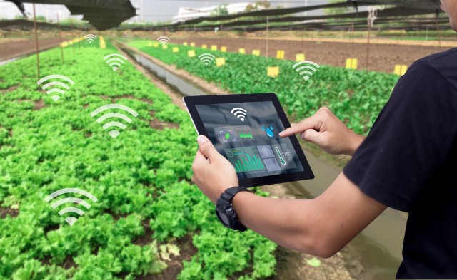 AI technologies being applied in Kazakhstan’s agriculture
