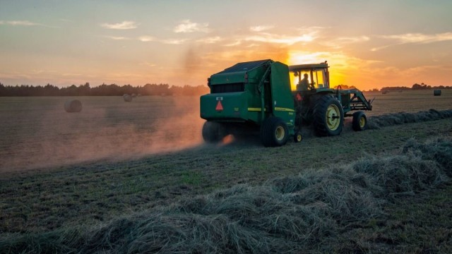 Kazakhstan’s agro-industrial sector attracts 213 billion tenge in investments