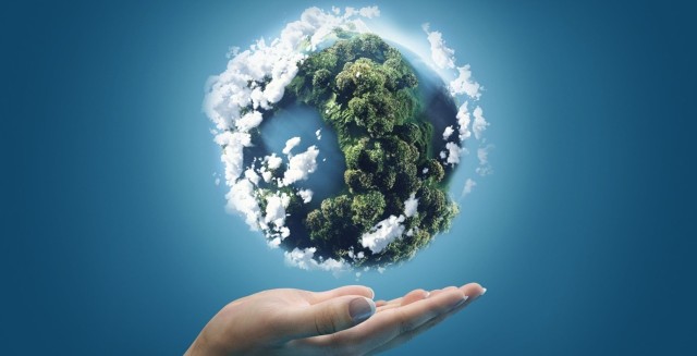 Халықаралық табиғатты қорғау одағының бірінші аймақтық кеңсесі Өзбекстан астанасында жұмысын бастады