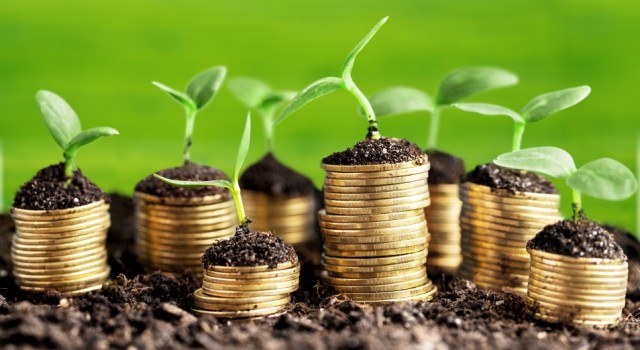 Қазақстанда егіс жұмыстары толық аяқталды