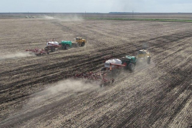 Total sown area in Akmola region reaches 5.5 million hectares