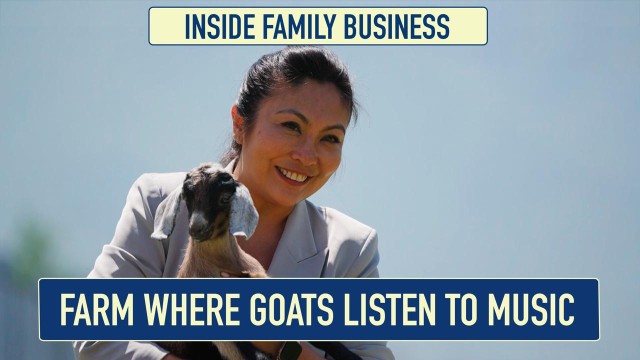 Goat farm near Almaty: how doctors became farmers