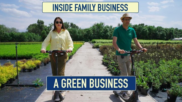 Green Family Business: from seed to 500 supermarkets