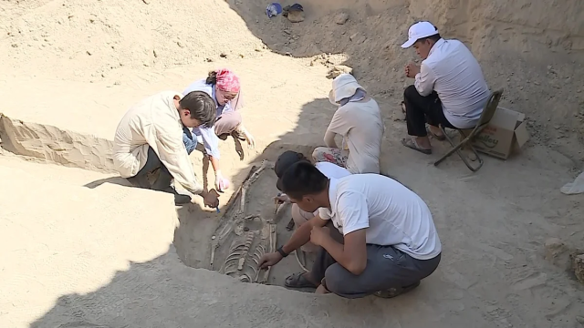 Түркістан өңірінде ежелгі жауынгердің сүйегі табылды