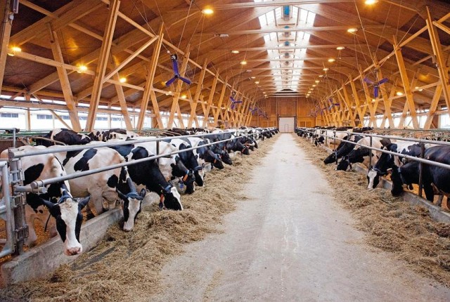 Kazakhstan digitalizes livestock farming