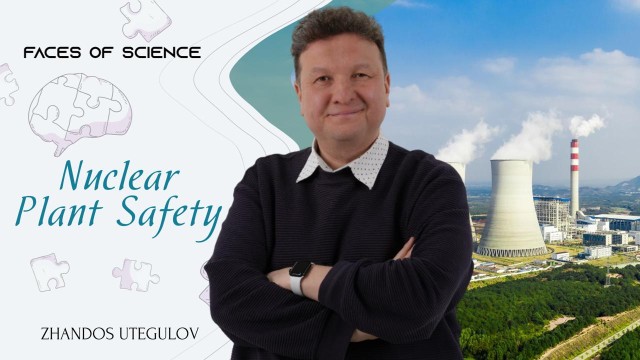 Nuclear plant safety