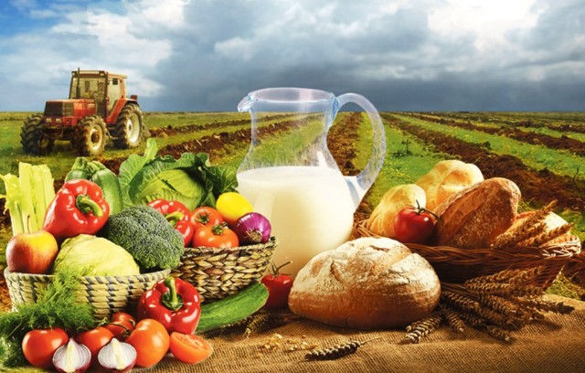 Kazakhstan’s gross agricultural output grows by 3.7%