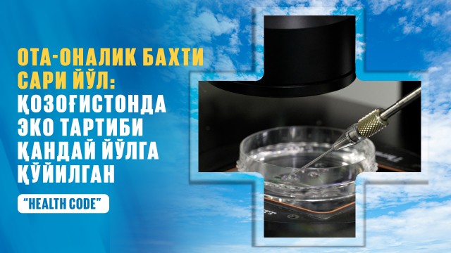 Ота-оналик бахти сари йўл: Қозоғистонда эко тартиби қандай йўлга қўйилган?