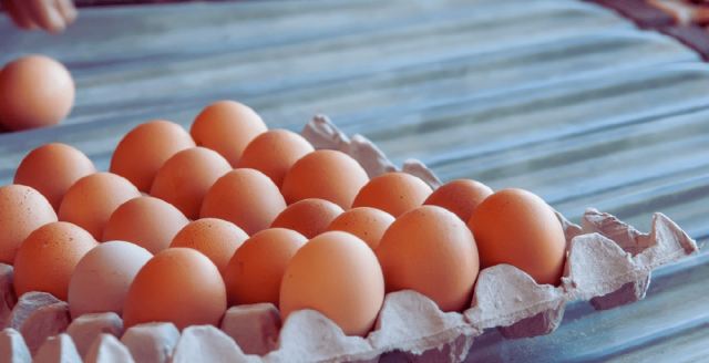 Производство продуктов питания в Казахстане увеличилось на 10,5%