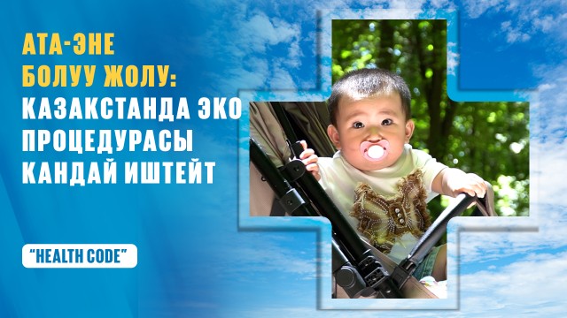 Ата-эне болуу жолу: Казакстанда эко процедурасы кандай иштейт?