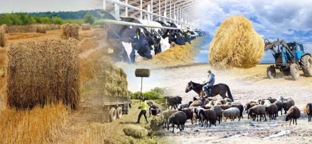 Agricultural census in Kazakhstan to run through October 20