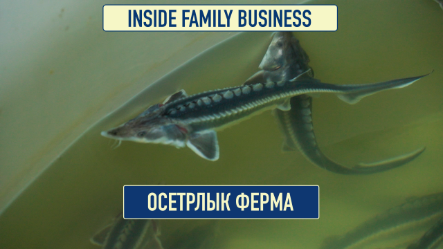 Балык чарбасы: кирешени көбөйтүүнүн натыйжалуу жолу