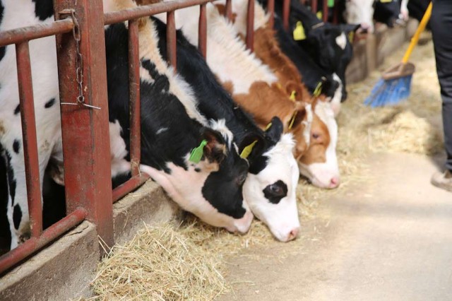 В Казахстане стартовала сельхозперепись