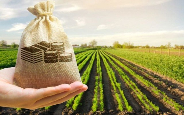 Kazakhstan strengthens its position in global agricultural market