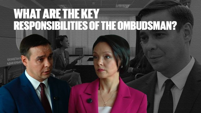What are the key issues the Ombudsman is responsible for?