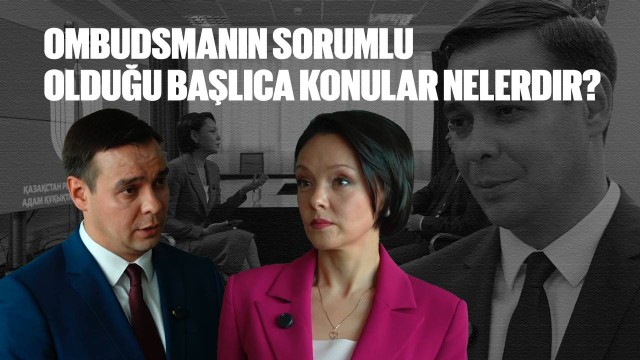 Ombudsmanın sorumlu olduğu başlıca konular nelerdir?