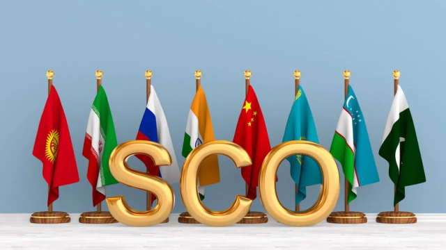 Experts: SCO Summit 2025 in China to open new facets of cooperation