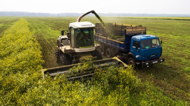 Kazakhstan’s gross agricultural output reaches 2.4 trillion tenge