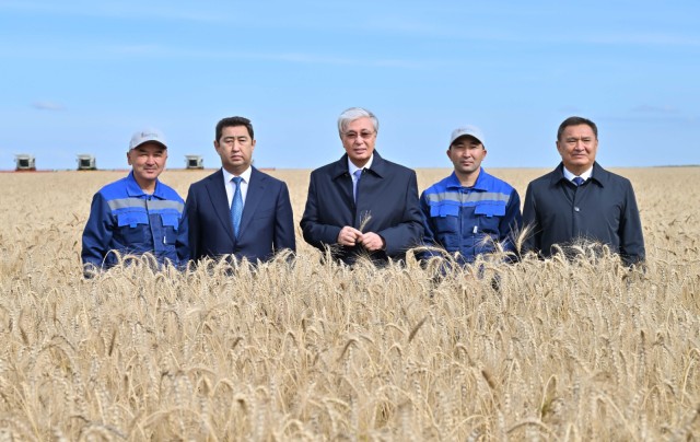 Казакстан президенти Акмола облусундагы түшүм жыйнауу иштеринин жүрүшү менен таанышты