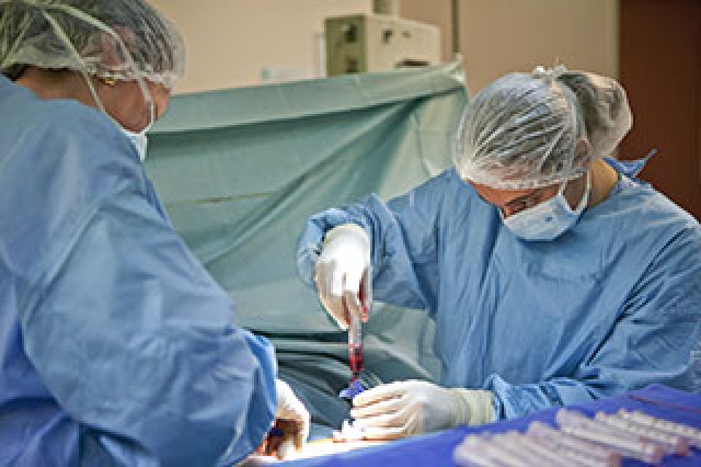 Kazakhstan plans up to 200 annual bone marrow transplants